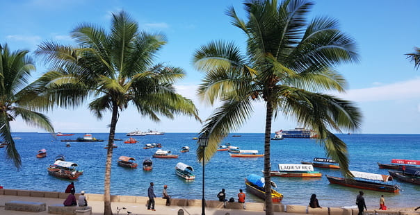 Where Is Zanzibar Located? Discover Tanzania’s Island Paradise Where Is Zanzibar Located? Discover Tanzania’s Island Paradise