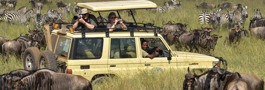 Best Time to Visit Serengeti National Park for the Great Migration