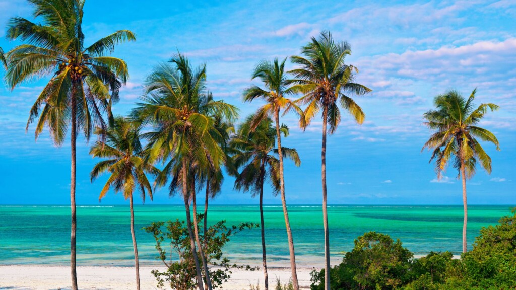 Serengeti National Park and Zanzibar Safari Package: The Perfect Bush and Beach Escape Serengeti National Park and Zanzibar Safari Package: The Perfect Bush and Beach Escape