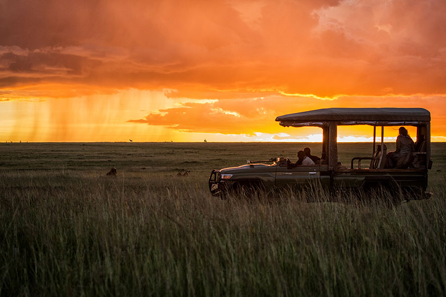 Serengeti Balloon Safari Experience: A Once-in-a-Lifetime Adventure over Serengeti National Park