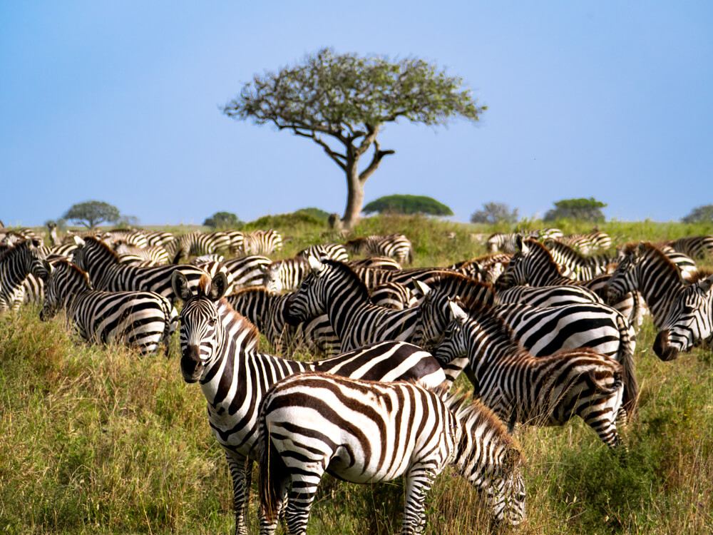 Best Places to Visit in October