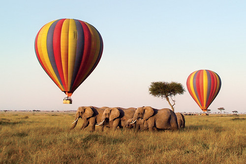 Experiencing the Great Migration Safari in Arusha: A Hot Air Balloon Adventure