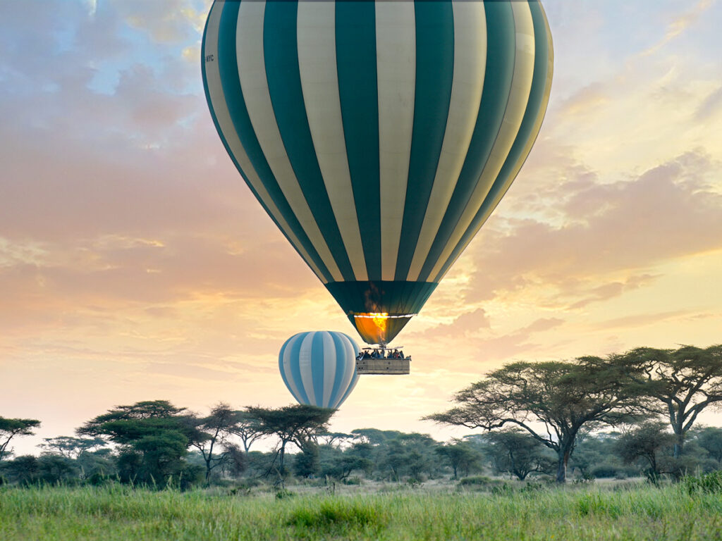 How Much Does a Tanzania Safari Cost in 2026: Complete Guide for Travelers