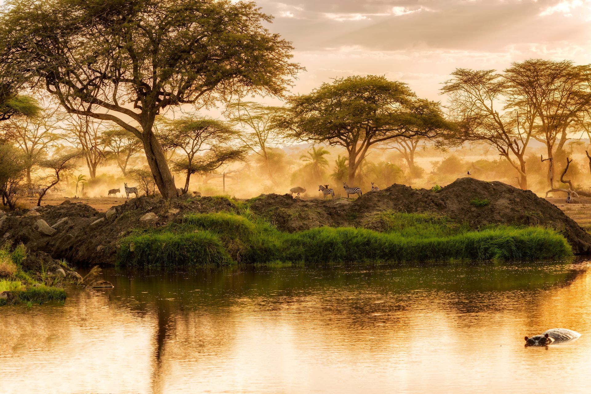 Inside the Wild: Experiencing Tanzania Beyond the Guidebooks