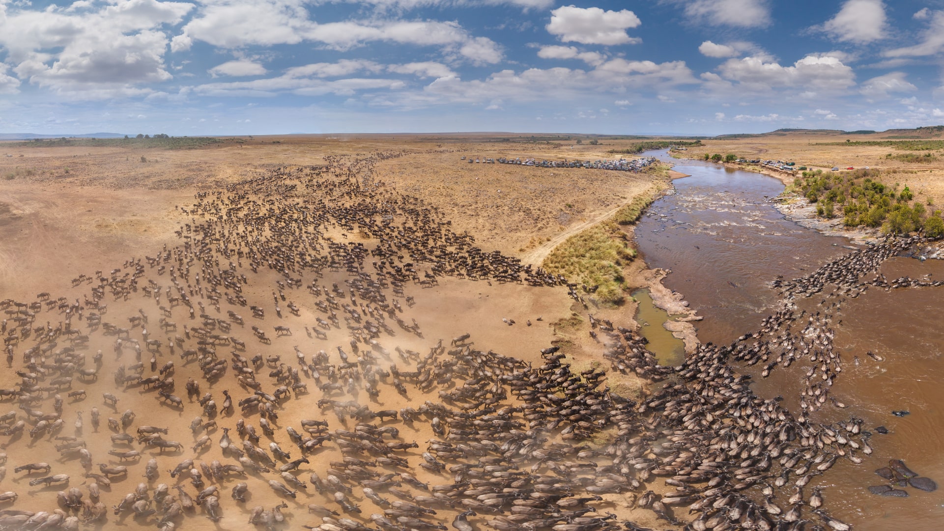 Migration Safari in Tanzania: An Unforgettable Experience in Serengeti National Park