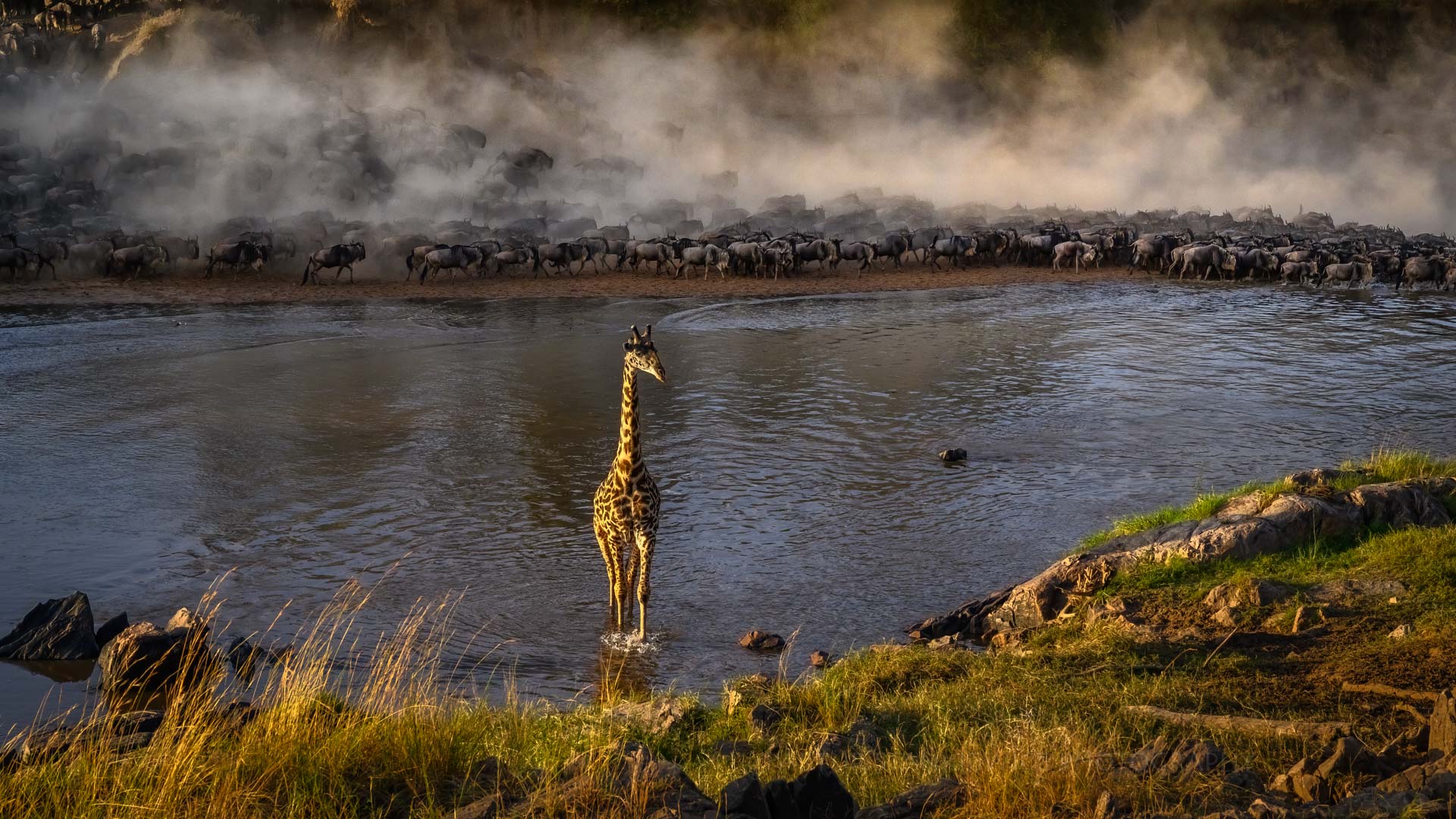 Rivers and Waterholes: Life in Motion Across Tanzania’s Plains