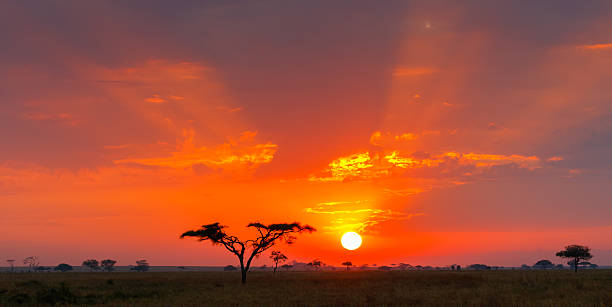 Safari and Beach Holidays 2026 | Tanzania Luxury Bush &amp;amp; Zanzibar Escape