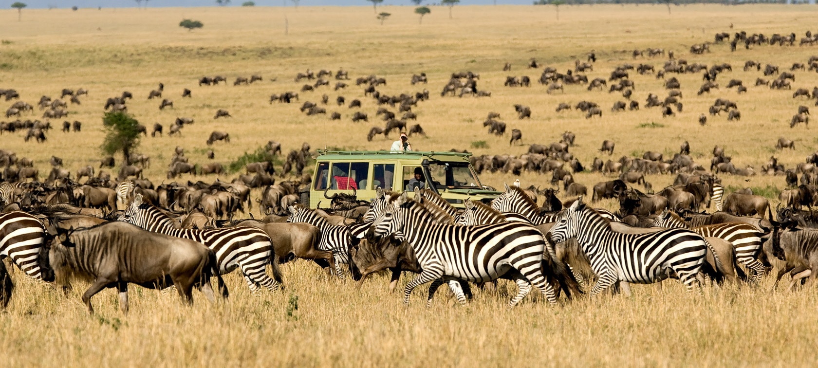 Serengeti Great Migration Guide