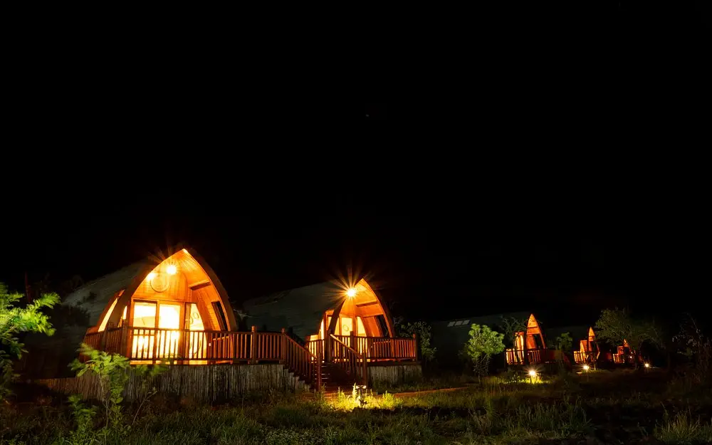 Where to Stay in Serengeti National Park: Best Areas and Lodges for Your Safari