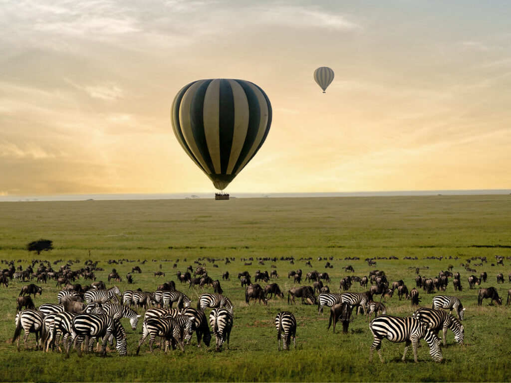 Tanzania Calving Season Safari Guide to Ndutu &amp;amp;amp; Serengeti